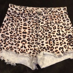 Animal Print Shorts